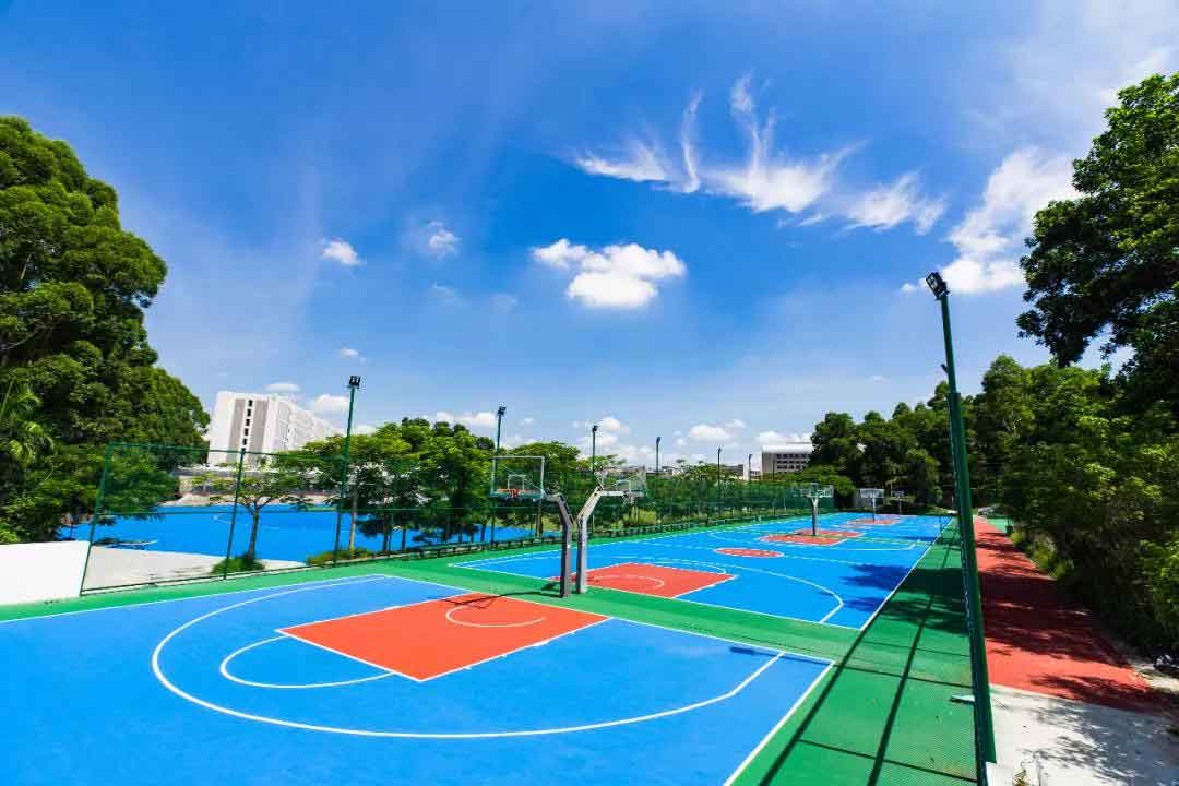 廣州科技職業(yè)技術(shù)大學(xué)2022年3+證書招生計劃（含本科）(圖7)